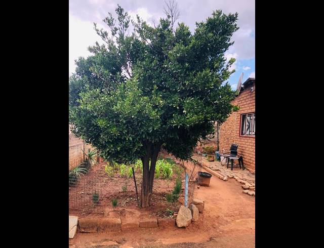 2 BEDROOM HOUSE FOR SALE IN COSMO CITY